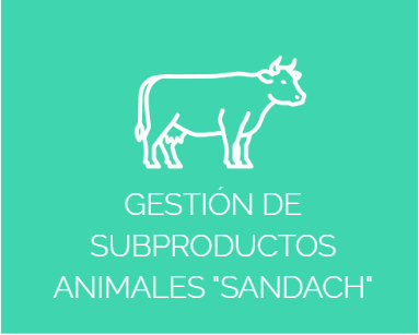 CAJA7